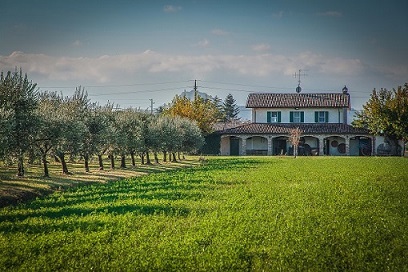 20 maggio Ricci-Hotels-Podere-La-Fattoria-Ulivi-3